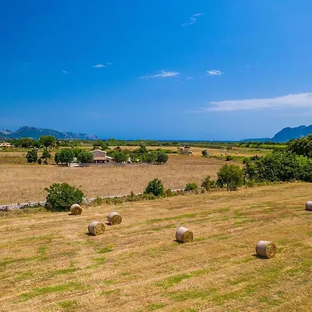 Bosque Pollença
